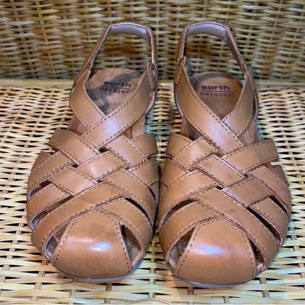 Earth origins Sz 6.5